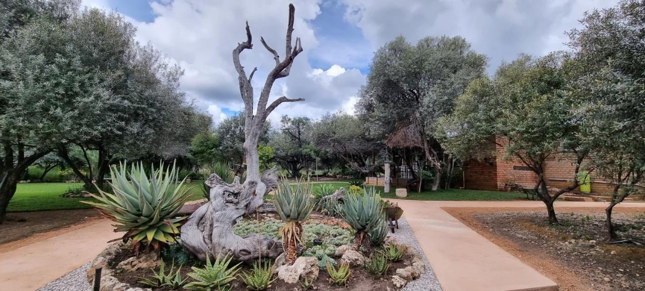 Olienhoff Guesthouse And Rest Camp Otavi Экстерьер фото